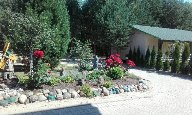 Mustvee Creek Cottage Екстер'єр фото