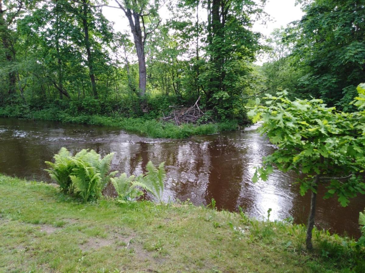 Mustvee Creek Cottage Екстер'єр фото